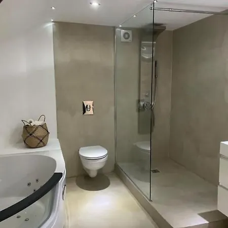 Stanislas & Jacuzzi Parking Apartment Nancy