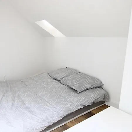 Apartment Stanislas & Jacuzzi Parking Nancy